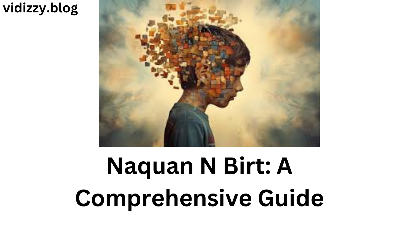 Naquan N Birt: A Comprehensive Guide