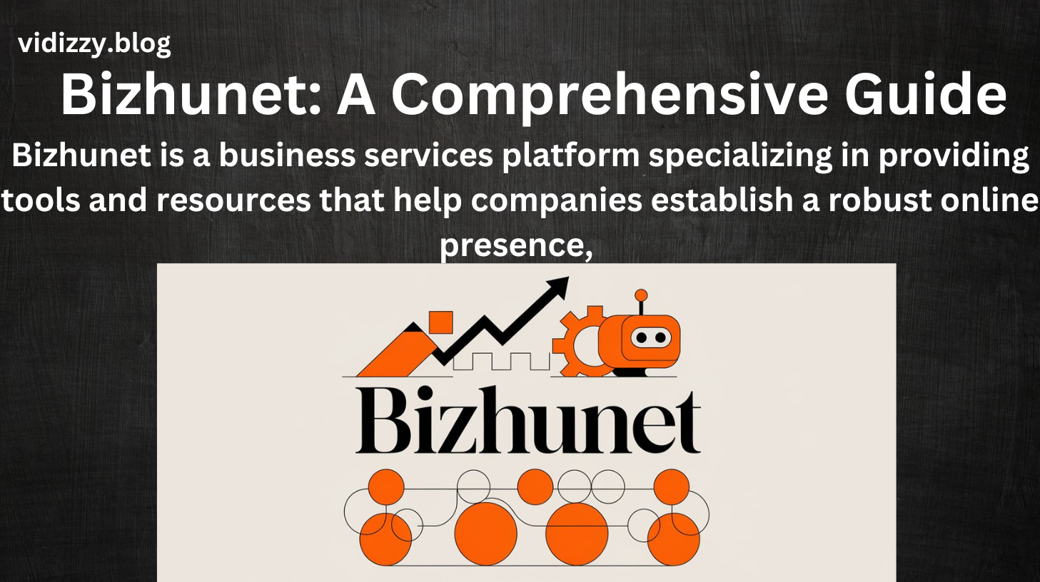 Bizhunet: A Comprehensive Guide